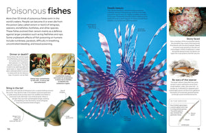 Eyewitness: Fish