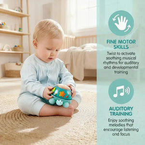 Hape Twist and Turn Turtle