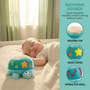 Hape Twist and Turn Turtle