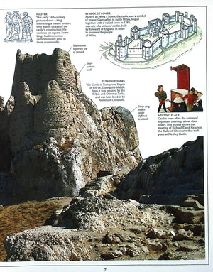 Eyewitness: Castle