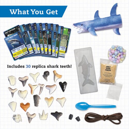 Klutz Steam Lab Shark-tastic Teeth