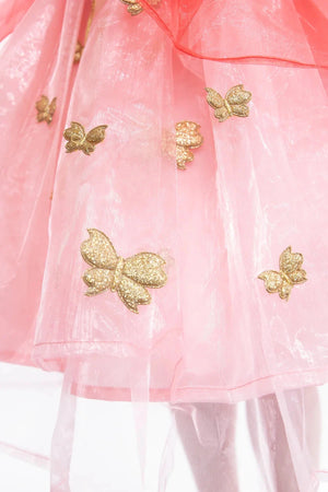 Little Adventures Butterfly Fairy