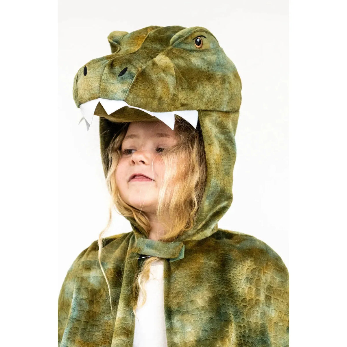 Little Adventures T-Rex Hooded Animal Cloak