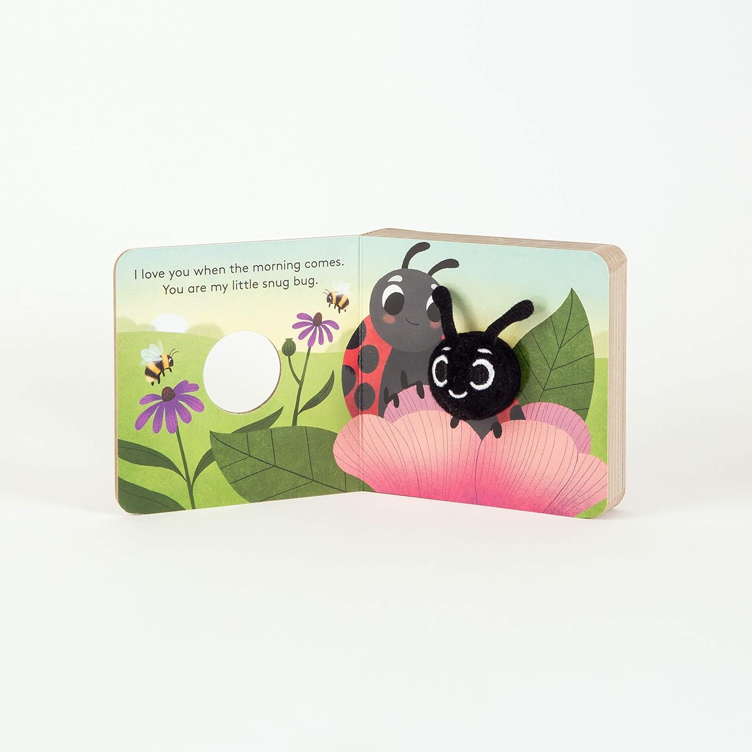 Little Love Bug Finger Puppet Book
