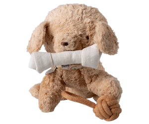 Maileg Pet Supply, Toys