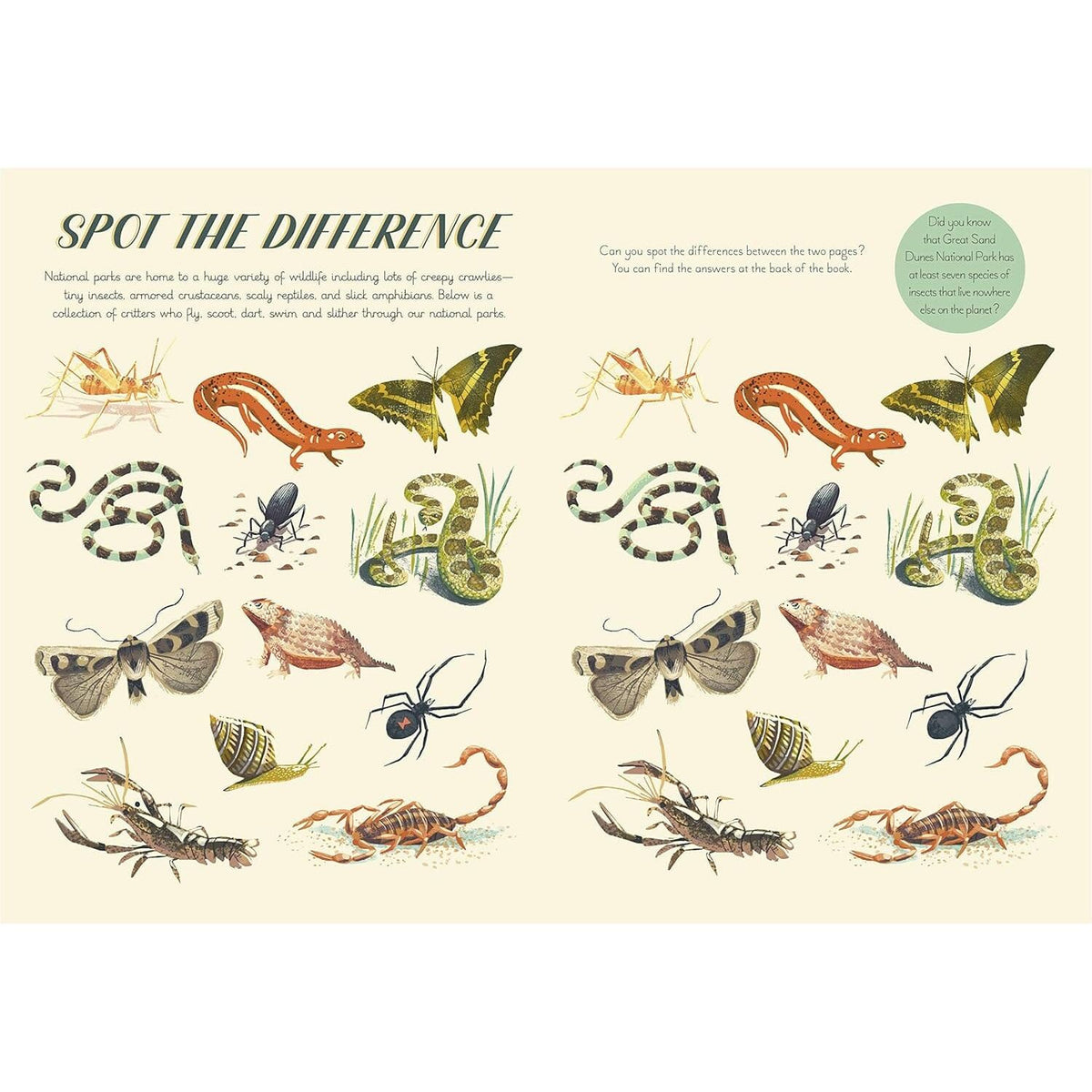 National Parks of The USA: Activity Book