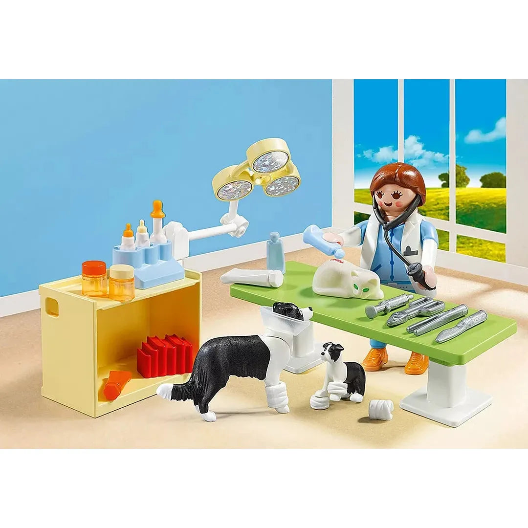 Playmobil Vet Visit Carry Case