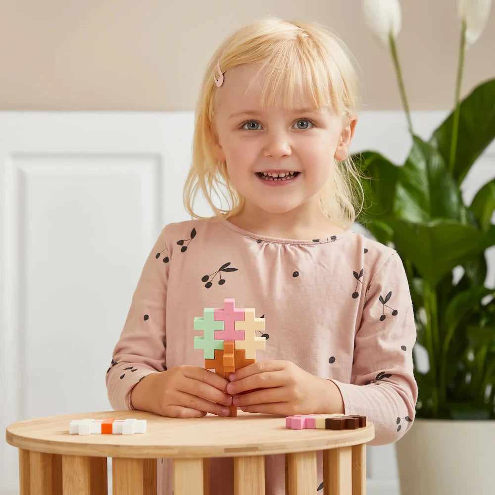 Plus-Plus BIG Food Activity Set