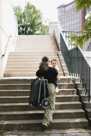 **PREORDER** UPPAbaby Kona in Ada (Ships 9/29)