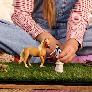 Schleich 42797, Emily's Care Set