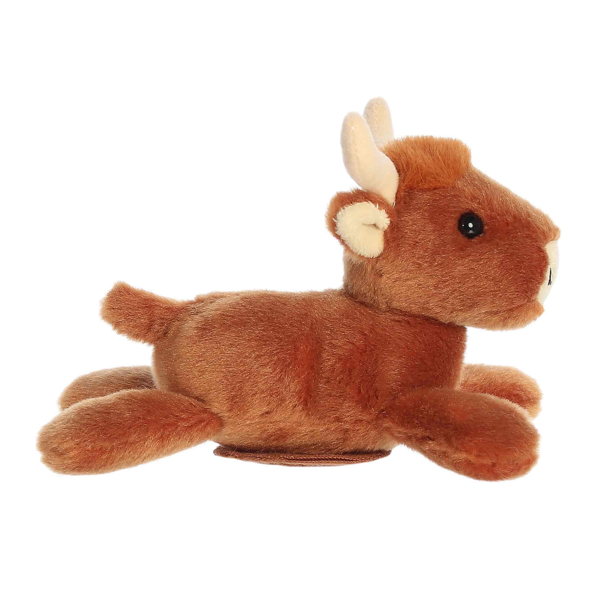 Shoulderkins Haddow Highland Cow