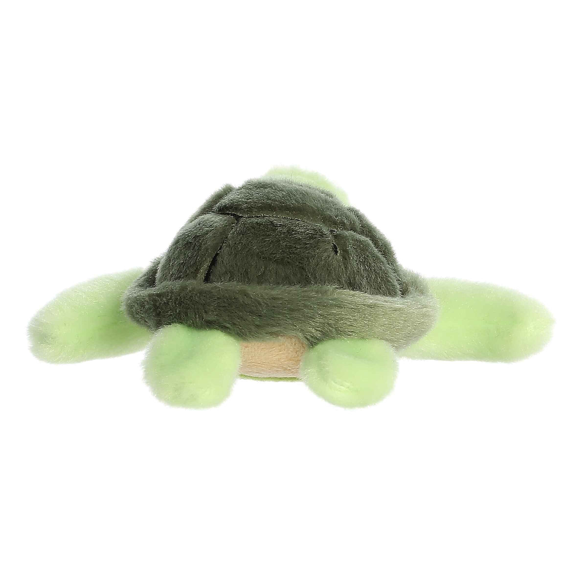 Shoulderkins Saavy Sea Turtle