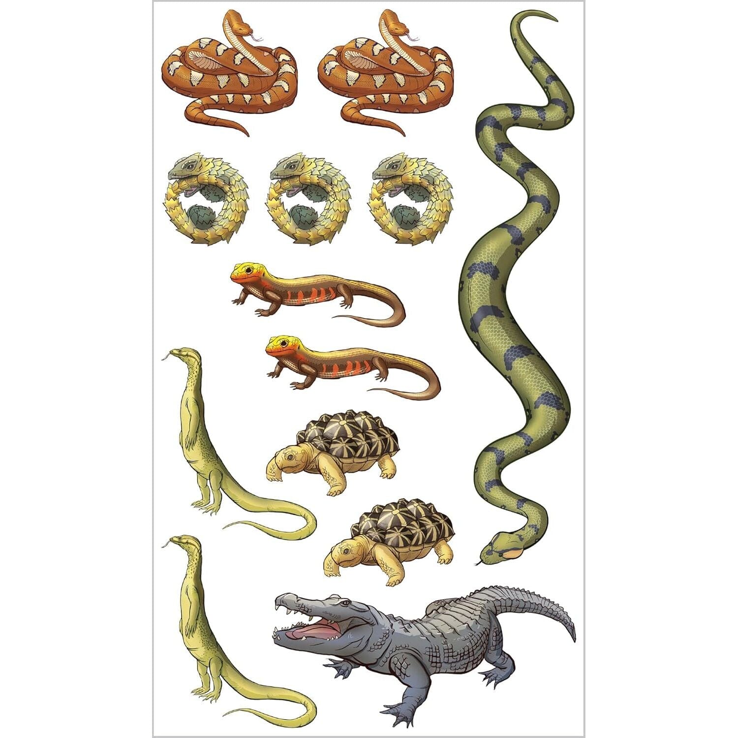 Slithering, Scaly Tattoo Snakes and Other Reptiles: 50 Temporary Tattoos That Teach