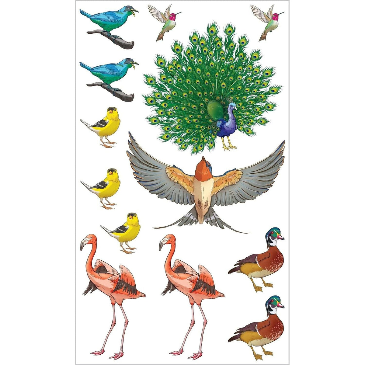 Soaring, Singing Tattoo Birds: 50 Temporary Tattoos That Teach