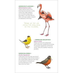 Soaring, Singing Tattoo Birds: 50 Temporary Tattoos That Teach