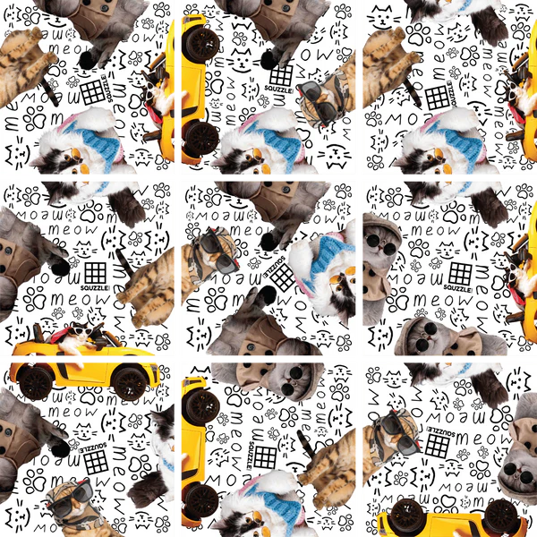 Squzzle Puzzle -- Cool Cats