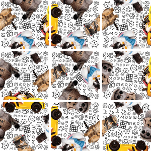 Squzzle Puzzle -- Cool Cats