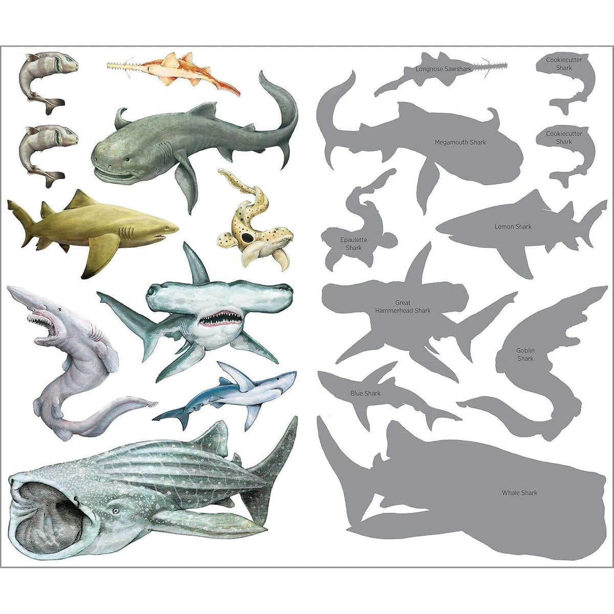 Super, Strong Tattoo Sharks: 50 Temporary Tattoos That Teach