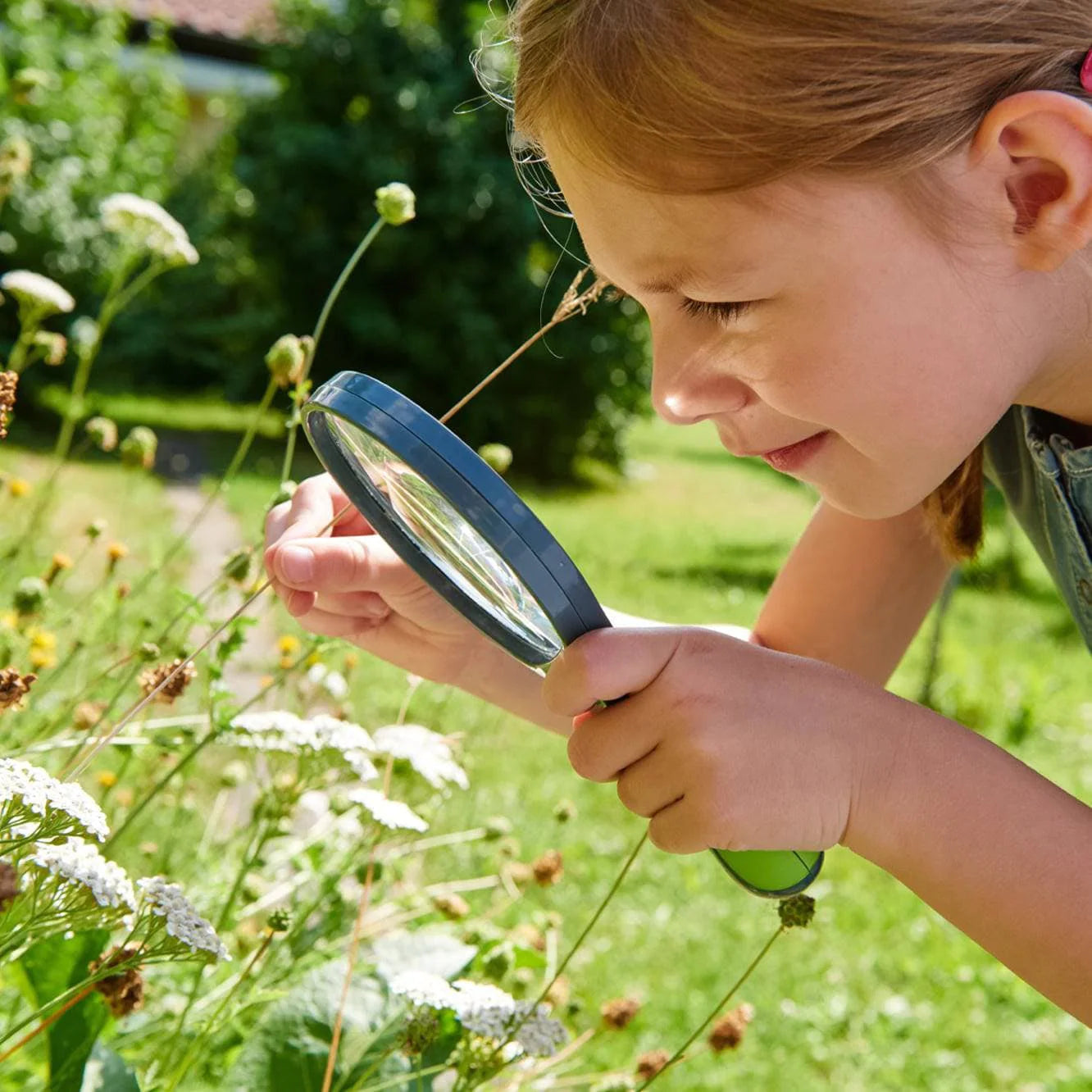 Terra Kids Magnifier by Haba - The Happy Lark