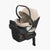 UPPAbaby Aria in Declan (Special Order)