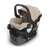 UPPAbaby Mesa V3 in Declan (Special Order)
