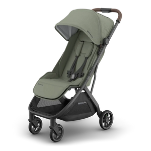 UPPAbaby Minu V3 in Evelyn (Special Order)
