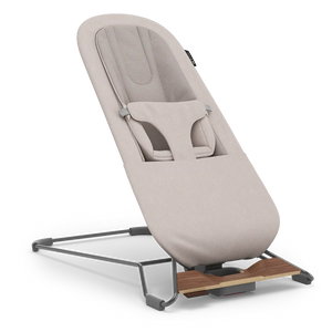 UPPAbaby Mira V2 Bouncer in Townsend