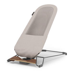 UPPAbaby Mira V2 Bouncer in Townsend