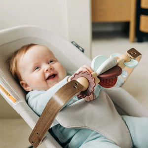 UPPAbaby Mira V2 Bouncer in Townsend