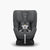 UPPAbaby Rove Convertible Car Seat in Greyson (Special Order)