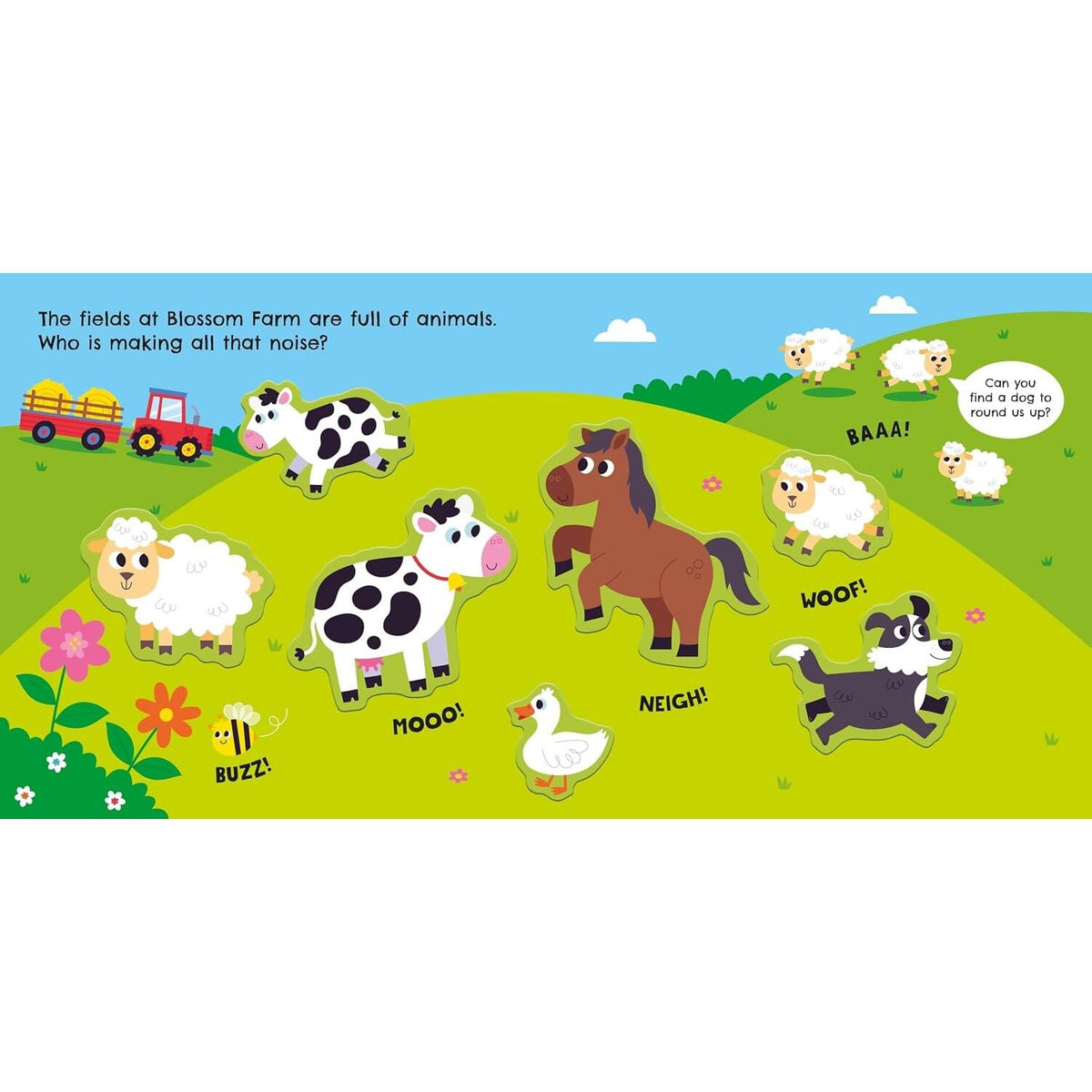 Usborne Farm Animals Magnet Book