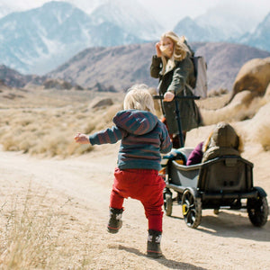 Veer All-Terrain Cruiser