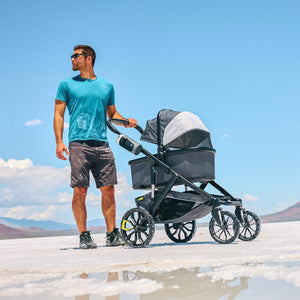 Veer Bassinet