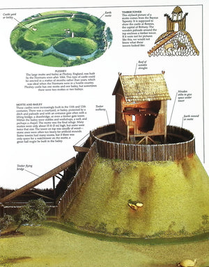 Eyewitness: Castle