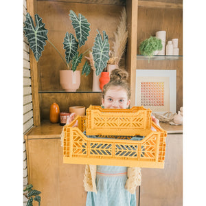 Aykasa Small Folding Crate in Almond Green