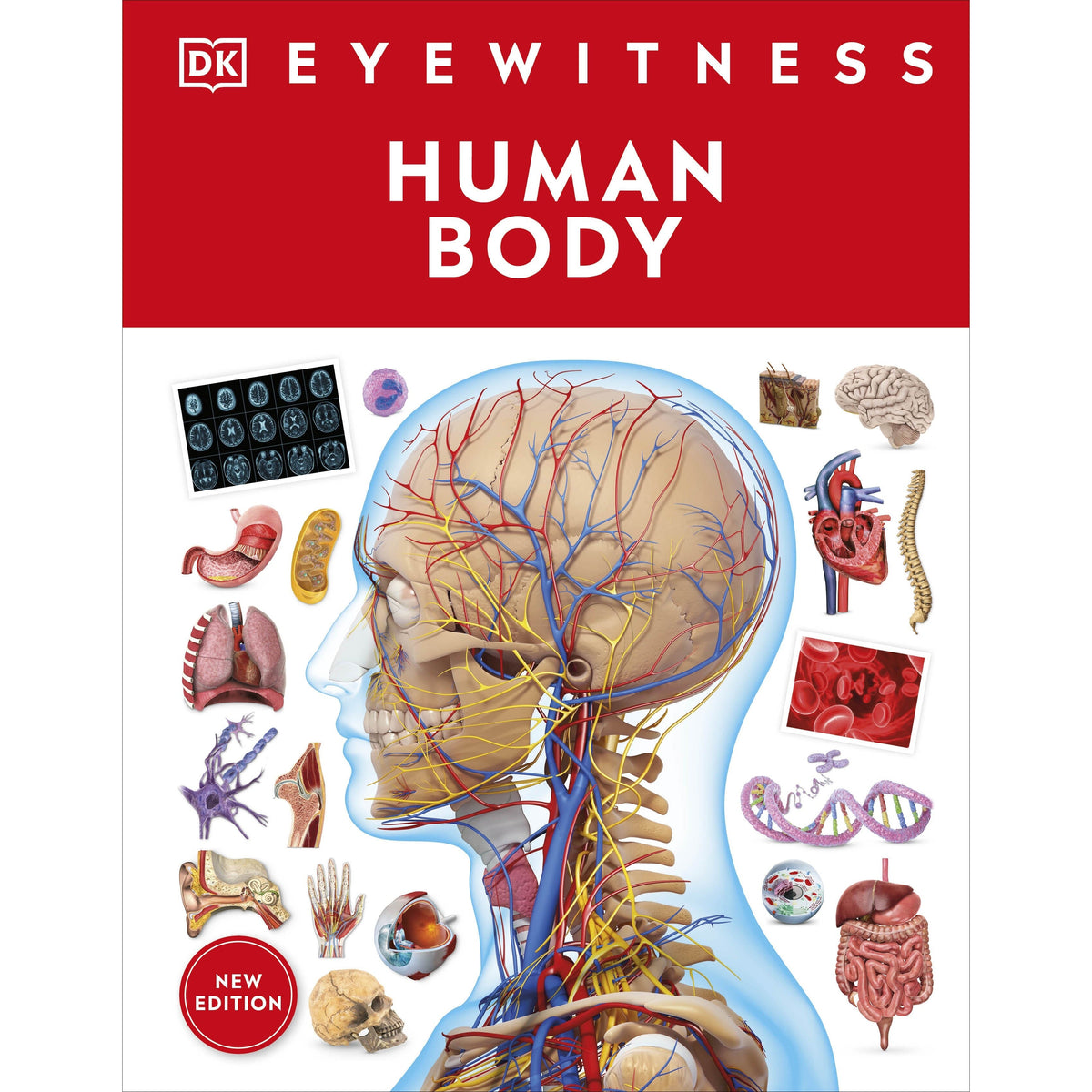 Eyewitness: Human Body