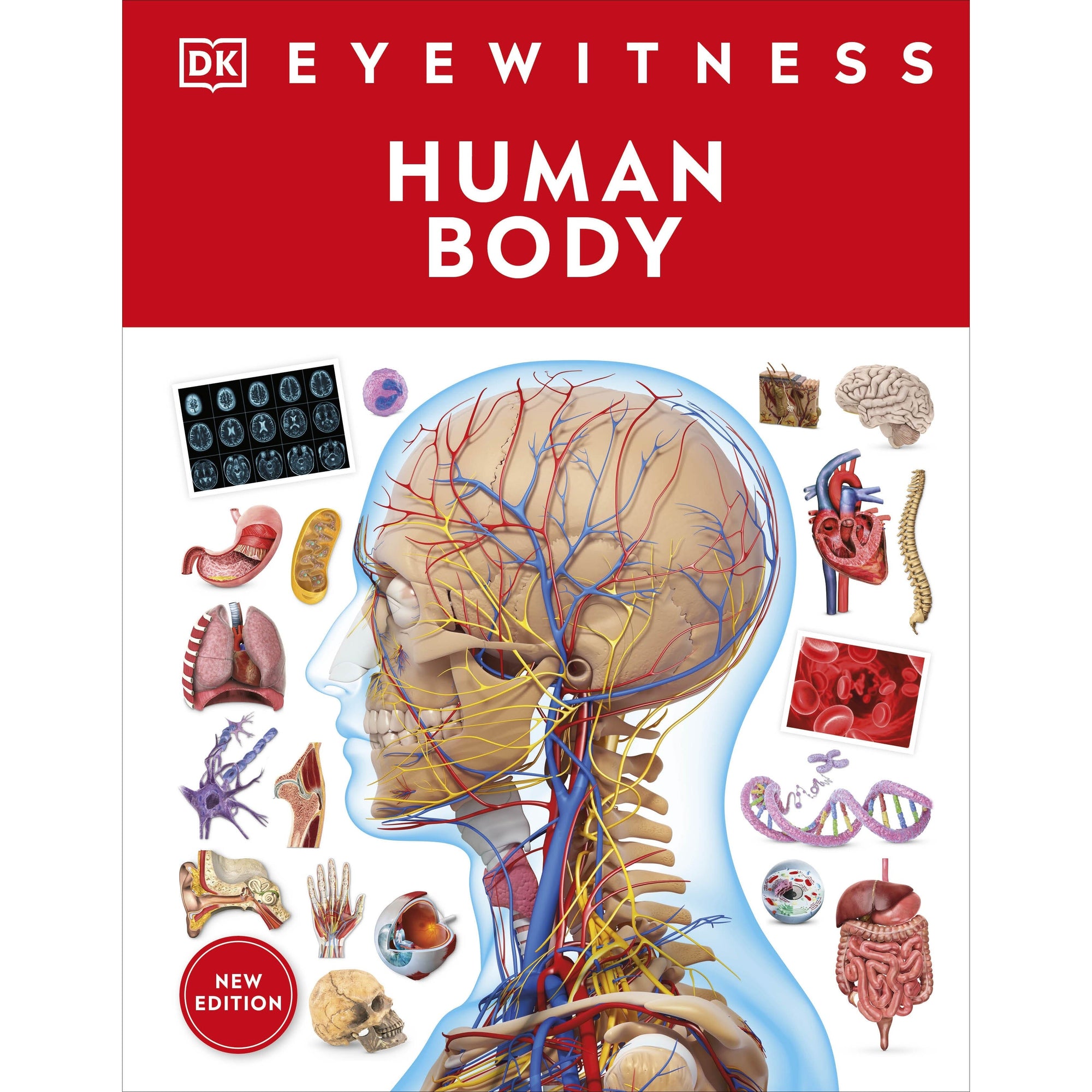Eyewitness: Human Body