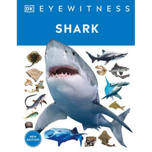 Eyewitness: Shark