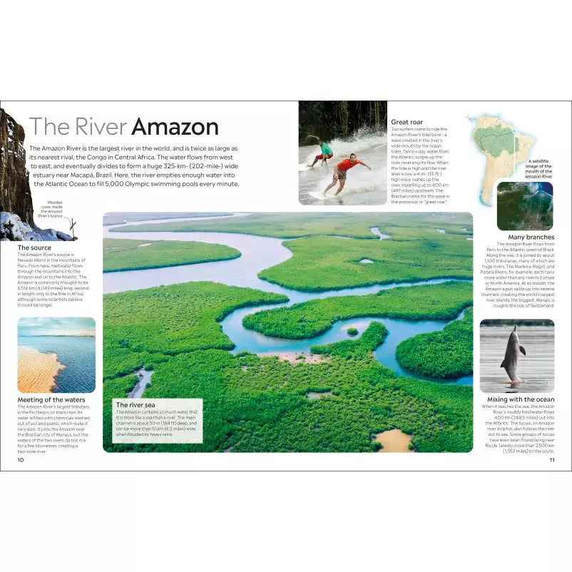 Eyewitness: The Amazon