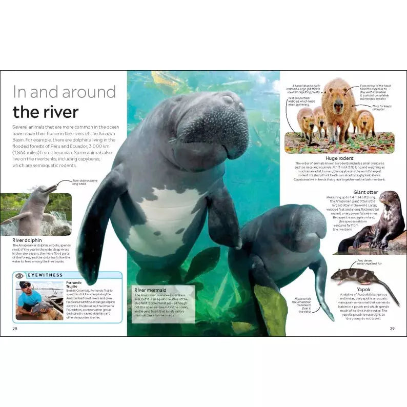 Eyewitness: The Amazon