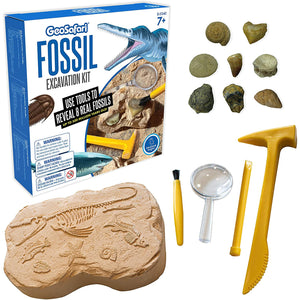 Educational Insights: Geosafari Fossil Excavation Kit