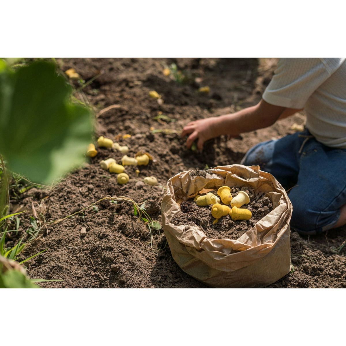 Grapat Mandala Tulips