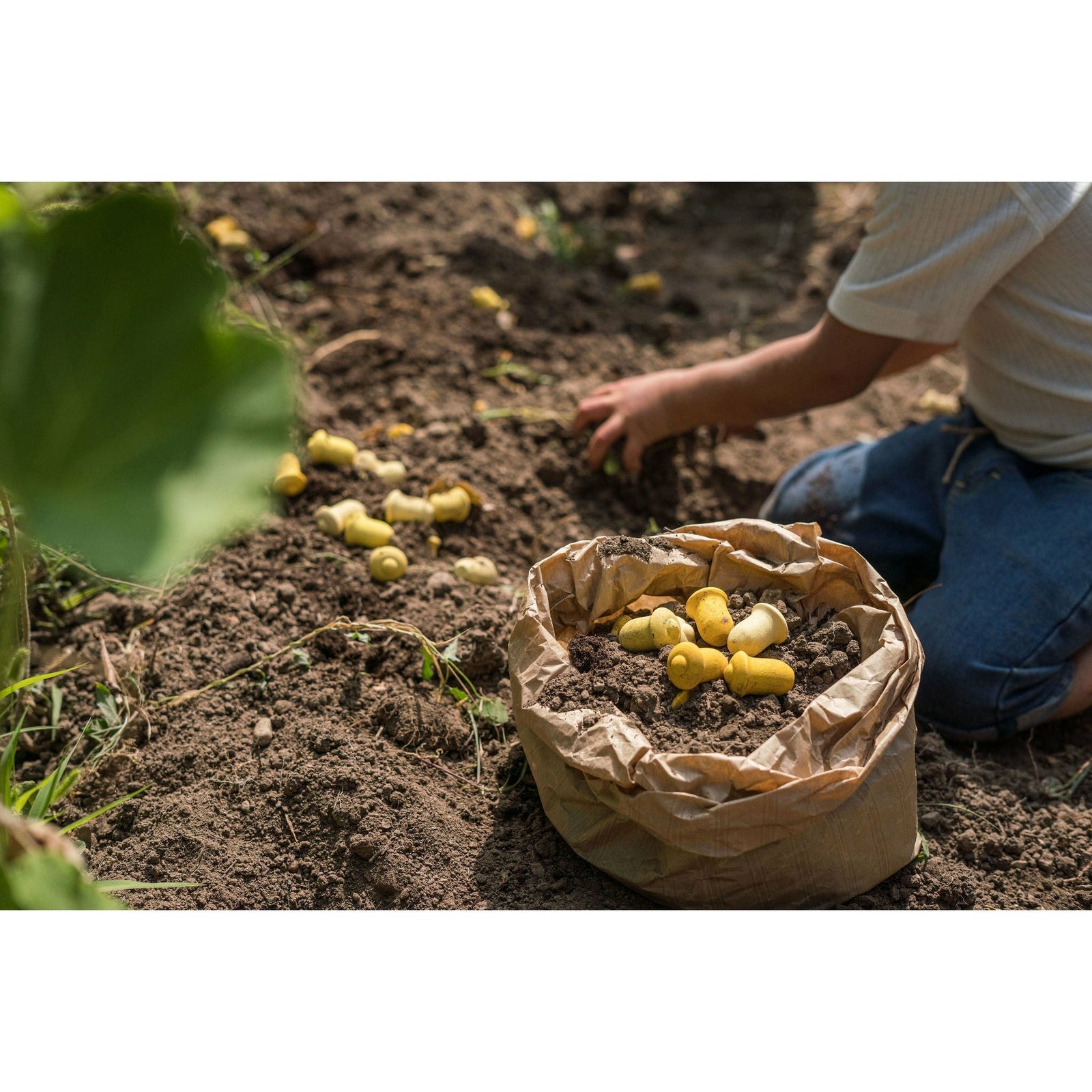 Grapat Mandala Tulips