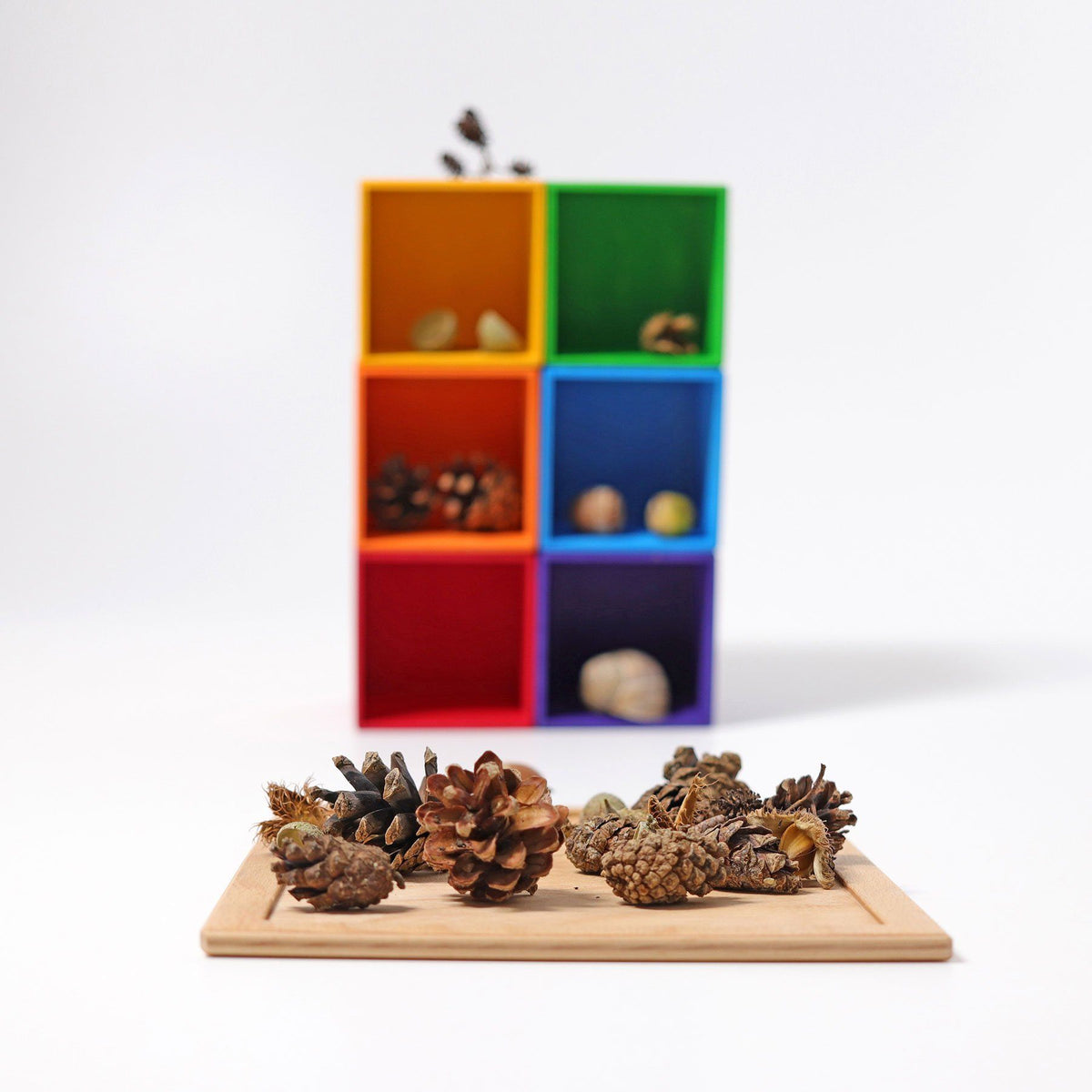 Grimm's 6-Piece Sorting Helper