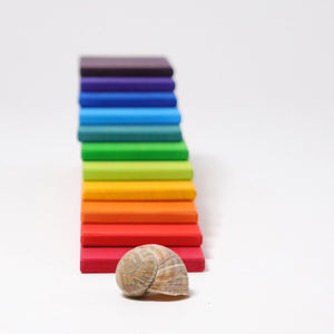 front of rainbow building boards with sea shell in front