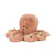 Jellycat  Odell Octopus (Really Big)