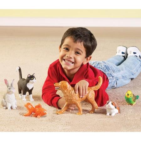 Jumbo Domestic Pets