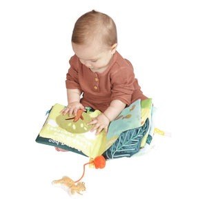 Manhattan Toy -- Fairytale Peek-a-boo Bunny Soft Book