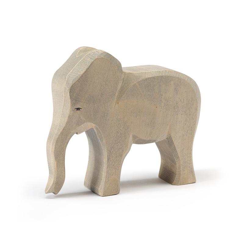 Ostheimer Elephant Cow female