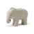 Ostheimer Elephant, Small, Eating